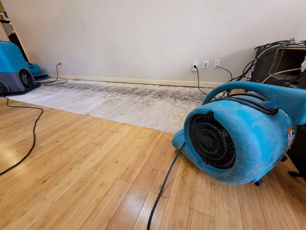 Professional Emergency Water Damage technician working in White, SD
